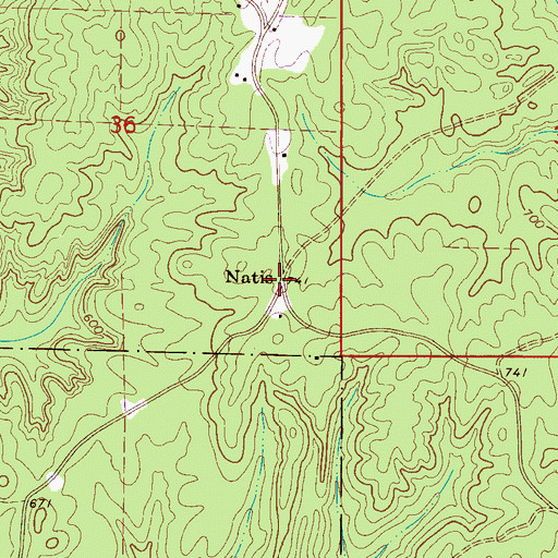 Topographic Map of Natis, AL