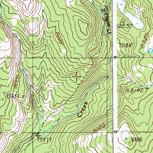 Topographic Map of Pilgrim Creek Trail, WY