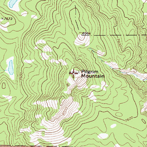 Topographic Map of Pilgrim Mountain, WY
