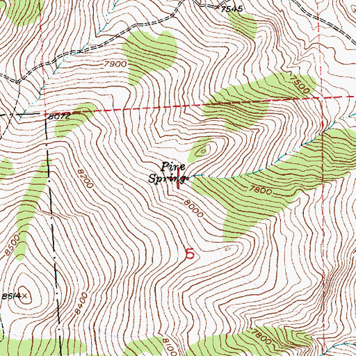 Topographic Map of Pine Spring, WY