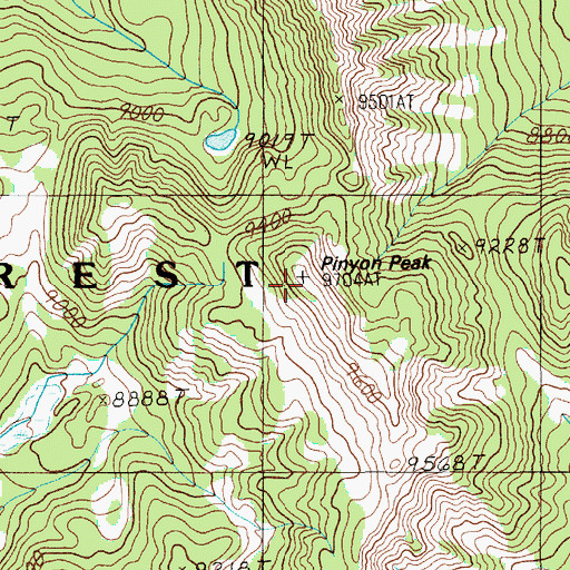 Topographic Map of Pinyon Peak, WY