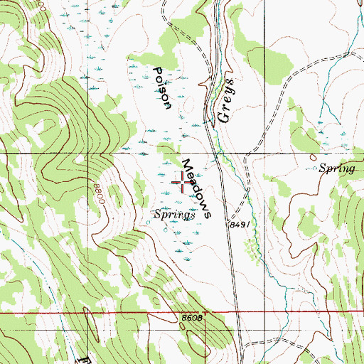 Topographic Map of Poison Meadows, WY