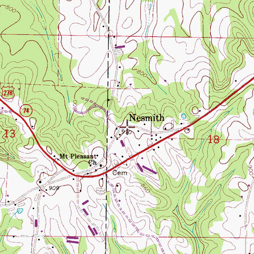 Topographic Map of Nesmith, AL