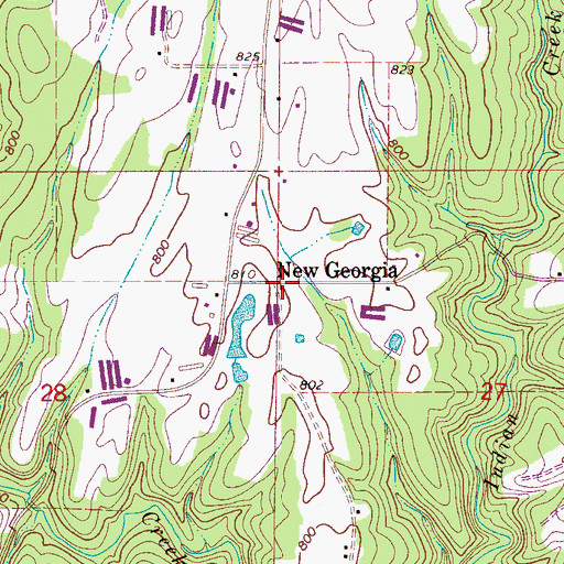Topographic Map of New Georgia, AL