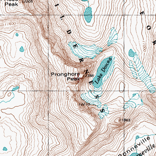 Topographic Map of Pronghorn Peak, WY