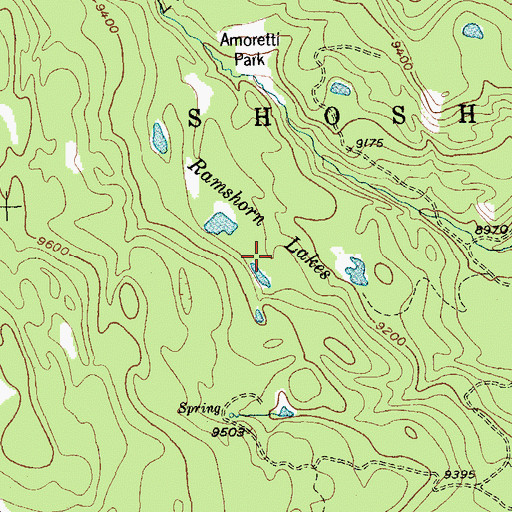 Topographic Map of Ramshorn Lakes, WY