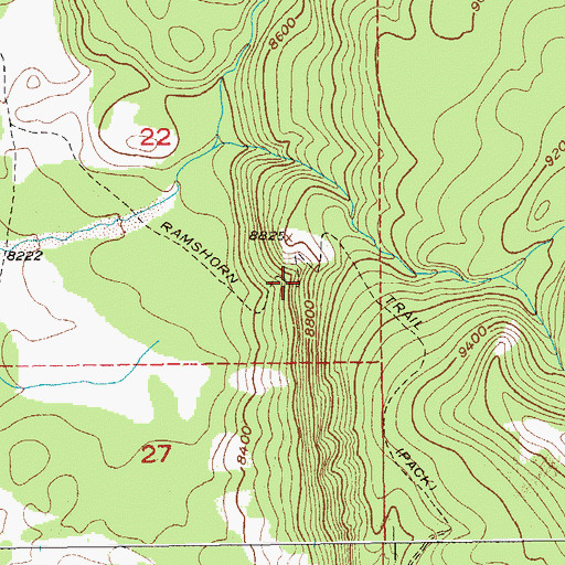 Topographic Map of Ramshorn Trail, WY