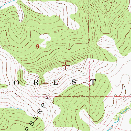 Topographic Map of Raspberry Ridge, WY