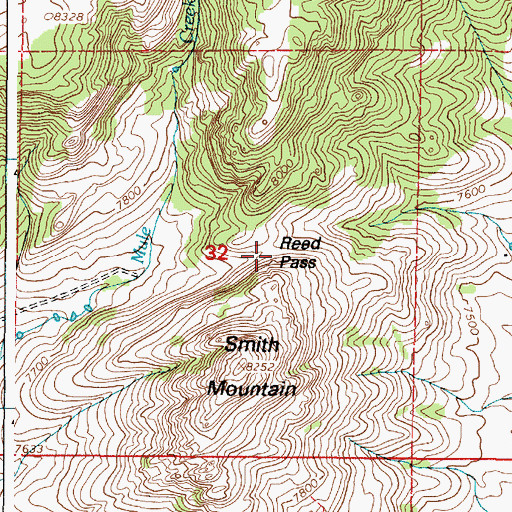Topographic Map of Reed Pass, WY