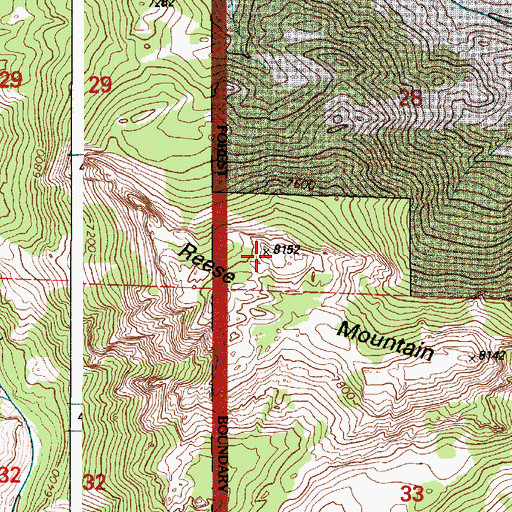 Topographic Map of Resse Mountain, WY