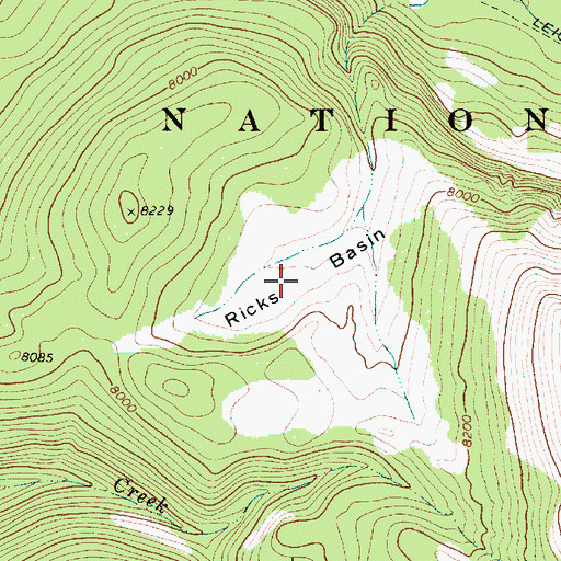 Topographic Map of Ricks Basin, WY