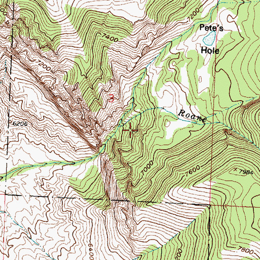 Topographic Map of Roane Creek, WY