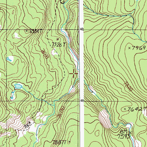 Topographic Map of Rodent Creek, WY