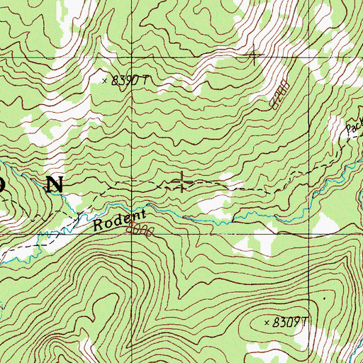 Topographic Map of Rodent Creek Trail, WY