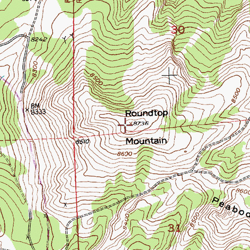 Topographic Map of Roundtop Mountain, WY