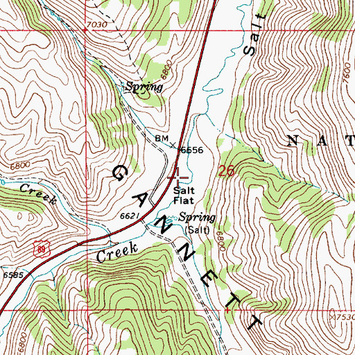 Topographic Map of Salt Flat, WY