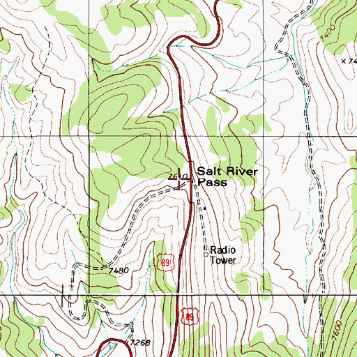 Topographic Map of Salt River Pass, WY