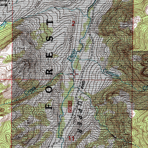Topographic Map of Sawmill Creek, WY