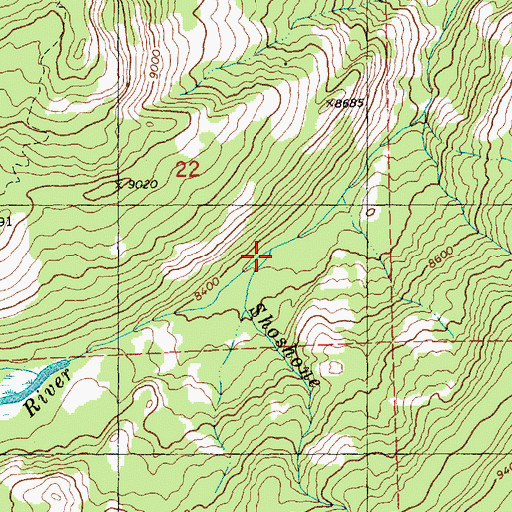 Topographic Map of Shoshone Creek, WY