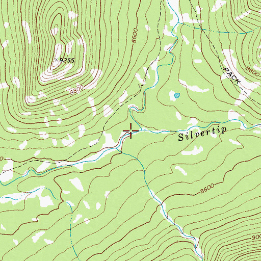 Topographic Map of Silvertip Creek, WY