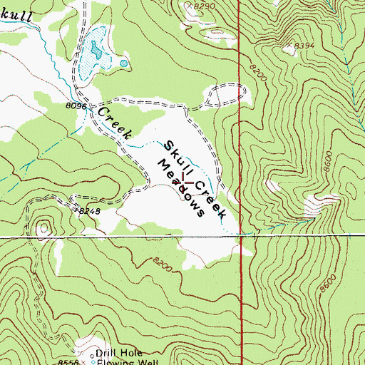 Topographic Map of Skull Creek Meadows, WY
