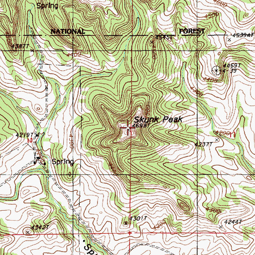 Topographic Map of Skunk Peak, WY
