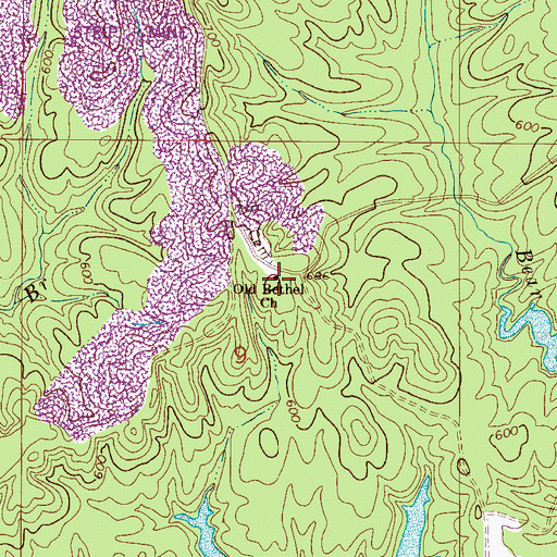 Topographic Map of Old Bethel Church, AL