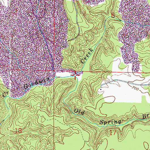Topographic Map of Old Spring Branch, AL