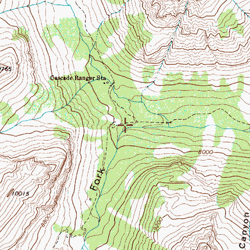 Topographic Map of South Fork Cascade Canyon, WY