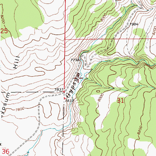 Topographic Map of South Fork Gypsum Creek, WY