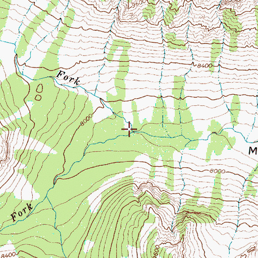 Topographic Map of South Fork Moran Creek, WY