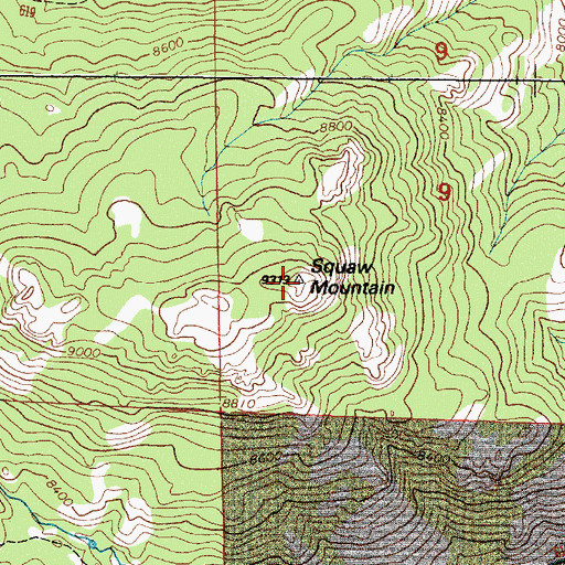 Topographic Map of Squaw Mountain, WY