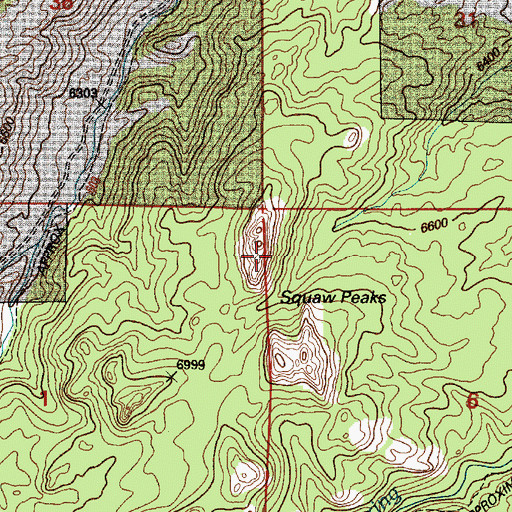 Topographic Map of Squaw Peaks, WY