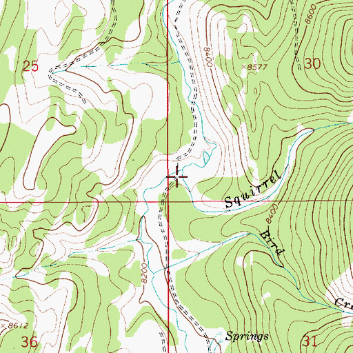 Topographic Map of Squirrel Creek, WY