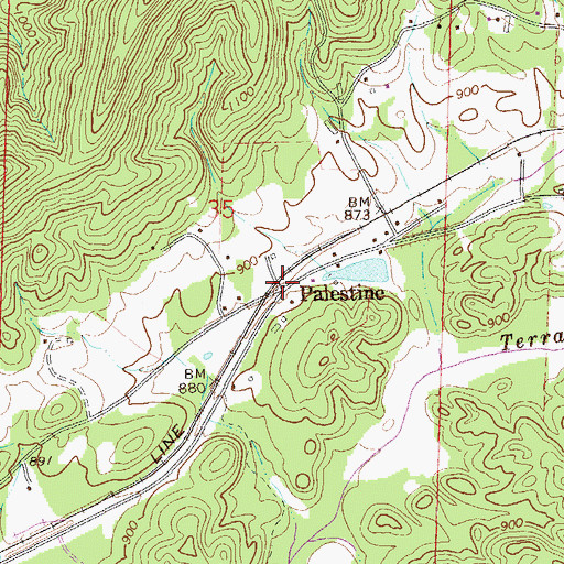 Topographic Map of Palestine, AL