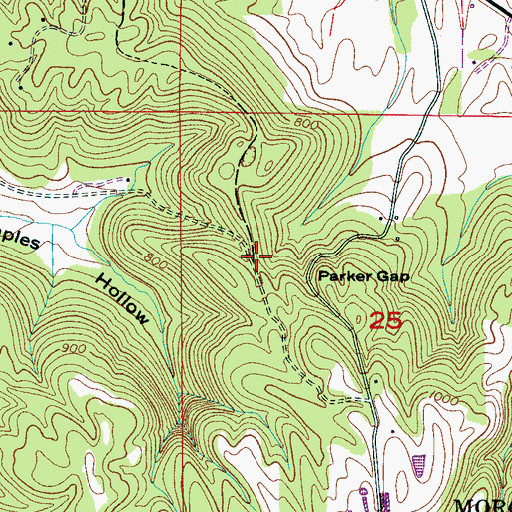 Topographic Map of Parker Gap, AL