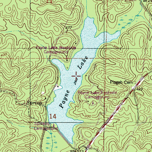 Topographic Map of Payne Lake, AL