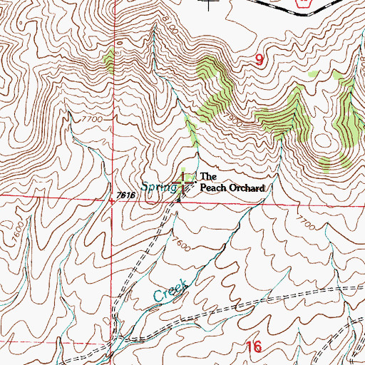 Topographic Map of The Peach Orchard, WY