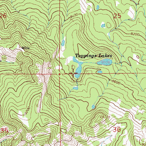 Topographic Map of Toppings Lakes, WY