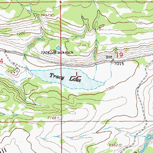 Topographic Map of Tracy Lake, WY