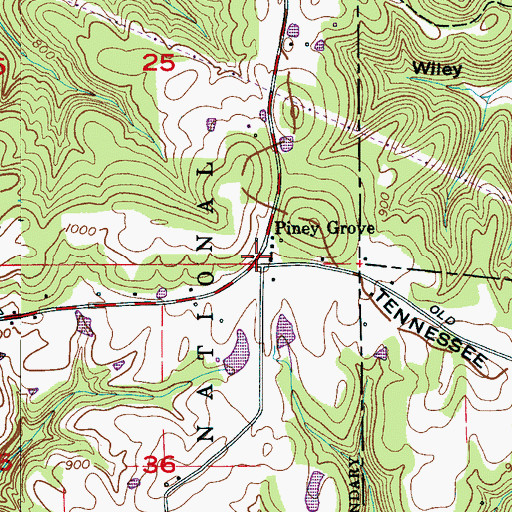 Topographic Map of Piney Grove, AL