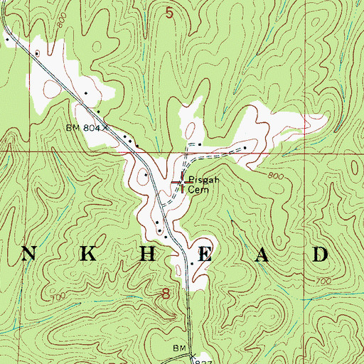 Topographic Map of Pisgah Cemetery, AL