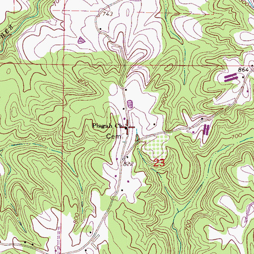 Topographic Map of Pisgah Church, AL
