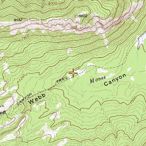 Topographic Map of Webb Canyon Trail, WY