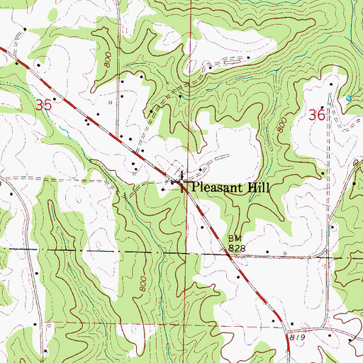 Topographic Map of Pleasant Hill, AL