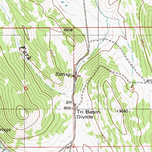 Topographic Map of West Fork Greys River, WY
