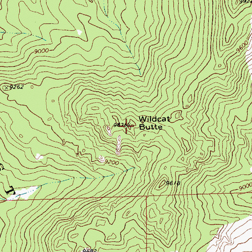 Topographic Map of Wildcat Butte, WY