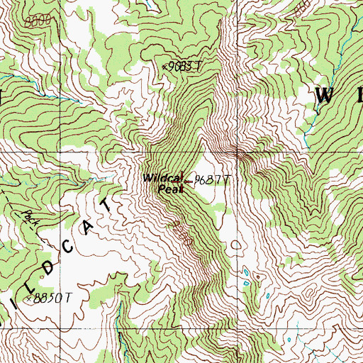 Topographic Map of Wildcat Peak, WY