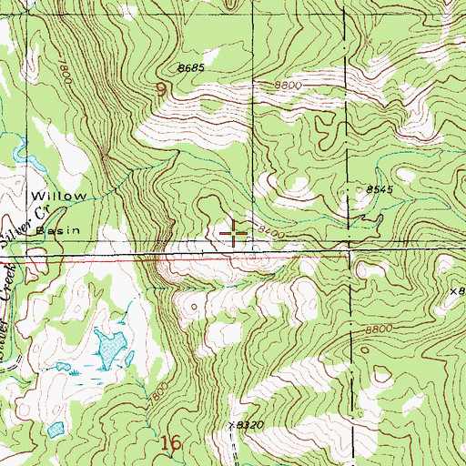 Topographic Map of Willow Basin, WY