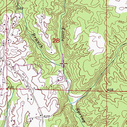 Topographic Map of Pole Branch, AL